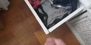Cum in sis panties drawer - she is not at home