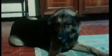 Poker Di Donne TNAFlix Porn Videos