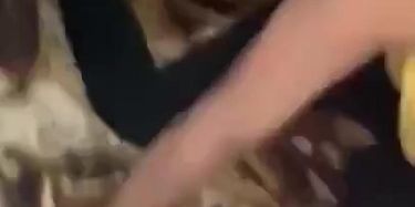 Watch Free Toto Porn Videos On TNAFlix Porn Tube