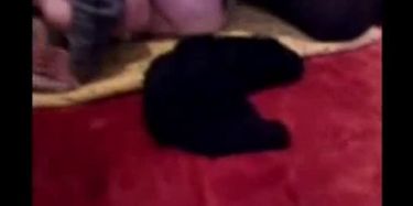 Watch Free Arab Porn Hijab Porn Videos On TNAFlix Porn Tube