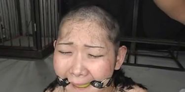 Bald Asian Girl Porn - Japanese Slave Hair Shorn Bald and used well TNAFlix Porn Videos