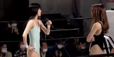 Japanese Wrestling