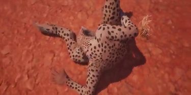 Wild Life - Zuri (Masturbation) (v. 02.2020) TNAFlix Porn Videos