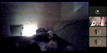 Lithuanian girl gets fucked - Tnaflix.com