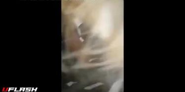 Pito x fuera1 TNAFlix Porn Videos