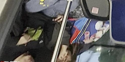 Bbc bulge watchers pt2