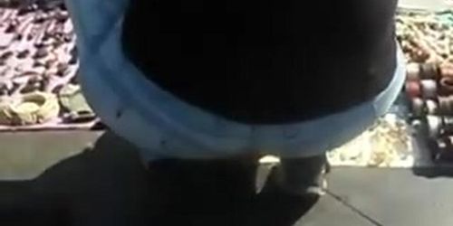 Huge cameltoe ass bend over