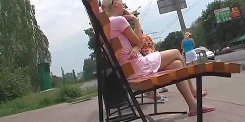 Cute golden-haired on a bench