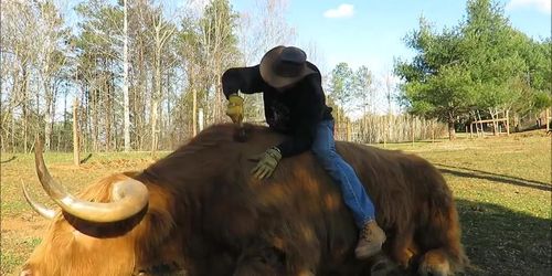 COWBOY DOMINATES BIG ASS HORNY FEMALE