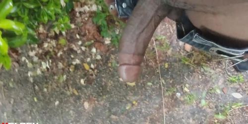 BBC flash