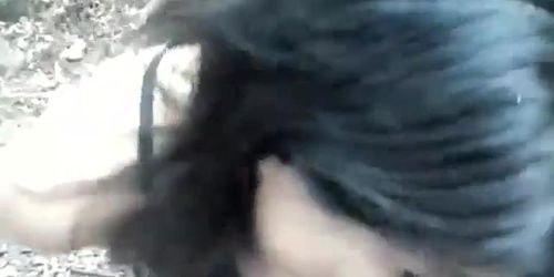 gatita de 3 sirius