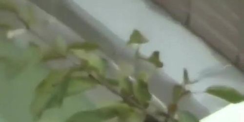 Open-Air Hot Spring Voyeur Video