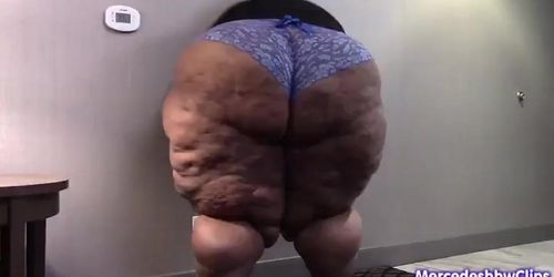 Ssbbw Ass