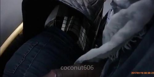 Bus - big cock touches pussy