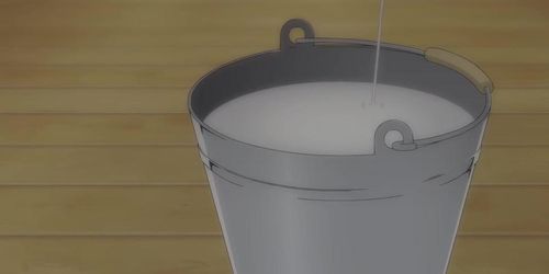 Hentai Cowgirl