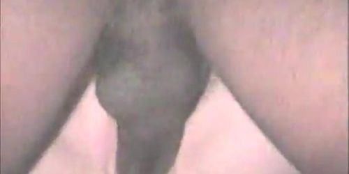 Cindy Loves being Fucked Hard & Deep by Huge Black Cocks!!!