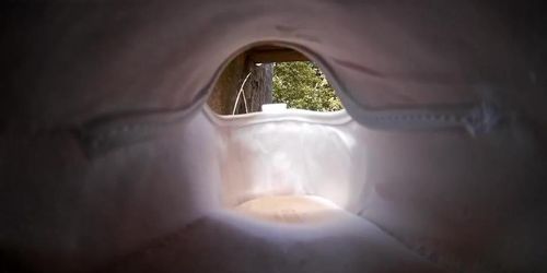 Video 5