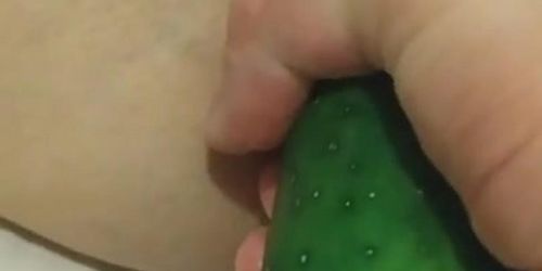 Pepino en pussy