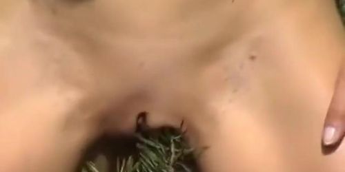 Mom Nature Has Much To Offer