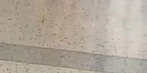 Woman flash at Airport