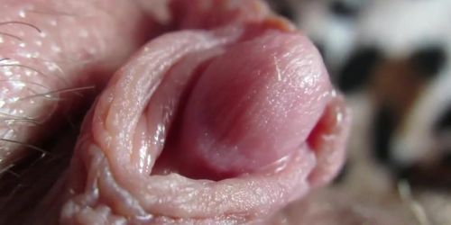 Pulsing Rough Clitoris In Extreme Close Up