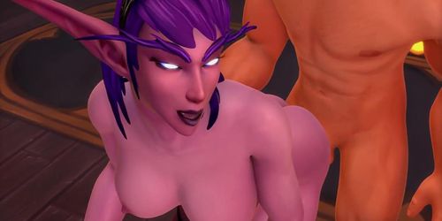 Warcraft Nightelf Human Sex NoSound