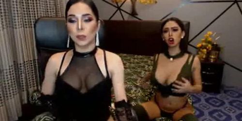 SHECAMS - Two Adorable Flirty Tranny Blow and Fuck Live