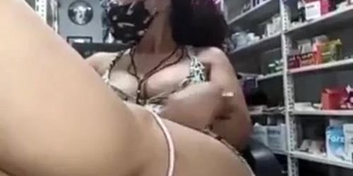 AMADORA MOSTRA PUSSY