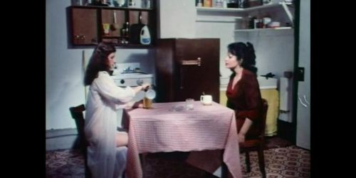 The Sex Therapist (USA 1975, Vivian Parks, Vanessa Del Rio) (Richard Mailer)