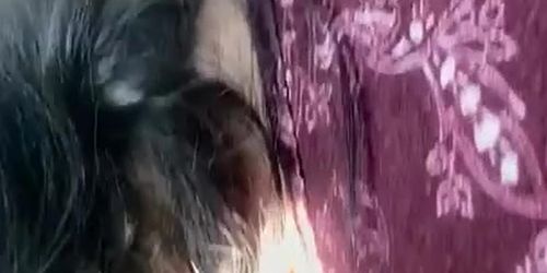 Latina Hoe Sucks My Cock