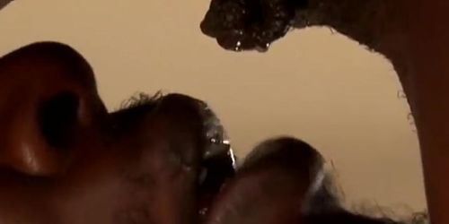 Desperate black wives 2