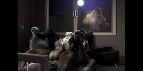 A little this (FurryAnimation FurryAnimation)