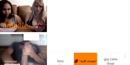Omegle Flash