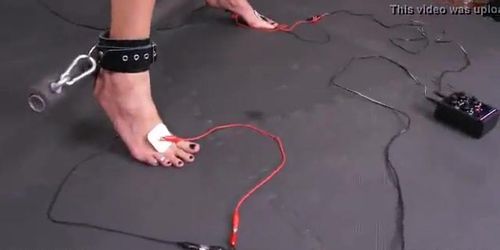 Queensnake.com - Electrider 2