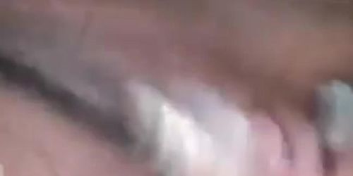 Cock Flash (Monkey