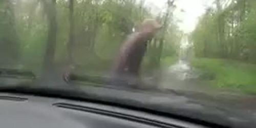 Draguee en terrasse baisee brutalement dans les bois
