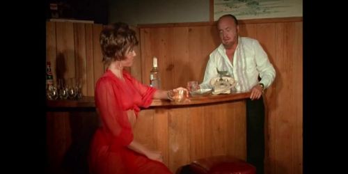 Sex Van Driver (USA 1971, Debbie Osborne, Nan Cee) (Van Damage, Lucie Nunvarova)