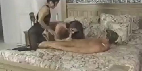 Retro two wife Blowjob 11