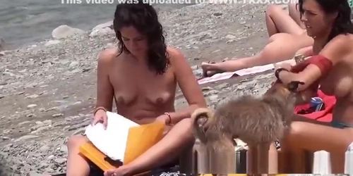 Hairy trimmed pussy amateur nudist females voyeur beach spy