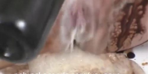 Food Play and Banana Masturbation