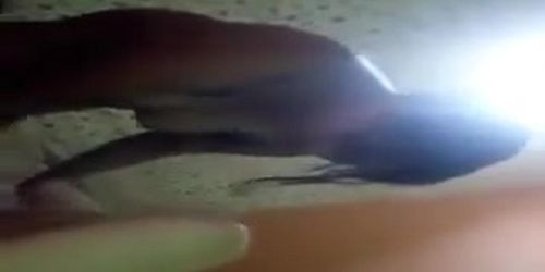 Desi prostitute bhabhi deeptroat sucking and takes cum in mo