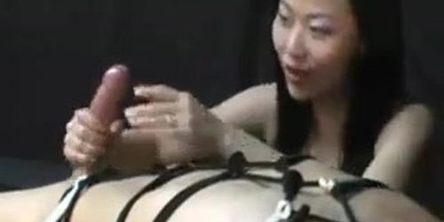 Asian bdsm on white (White Man)