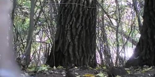 Bride pissing next to tree