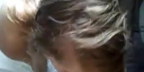 hot gf blowjob 7