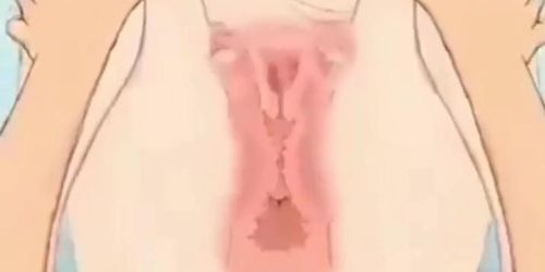 Animated intrauterine ejaculation376