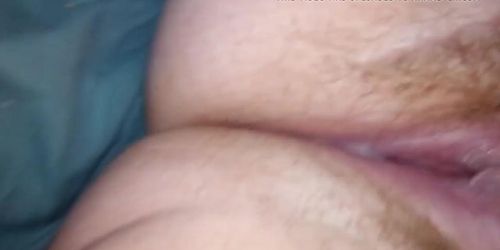Percilla (Percilla )