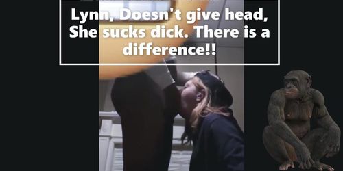 The Story of Lynn 2