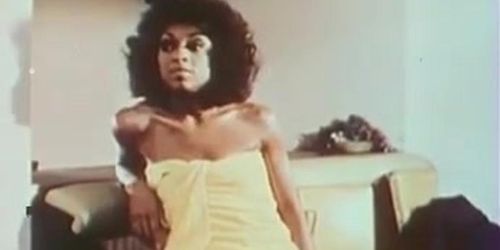 Lola Falana - Pop Goes the Weasel (1975)