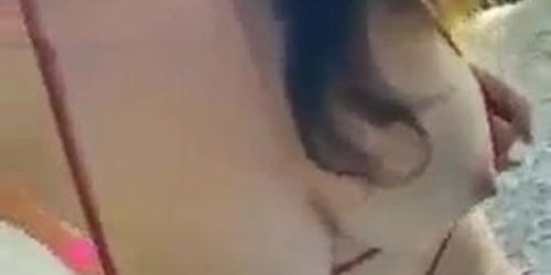 Great tits compilation