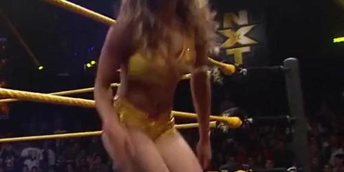 Sasha Banks - WWE NXT 9-11-13
